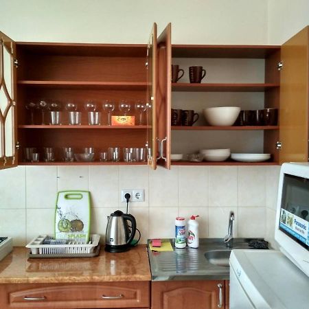 Apartments Domovik Просторная Квартира С Видом На Горы 무카체베 외부 사진