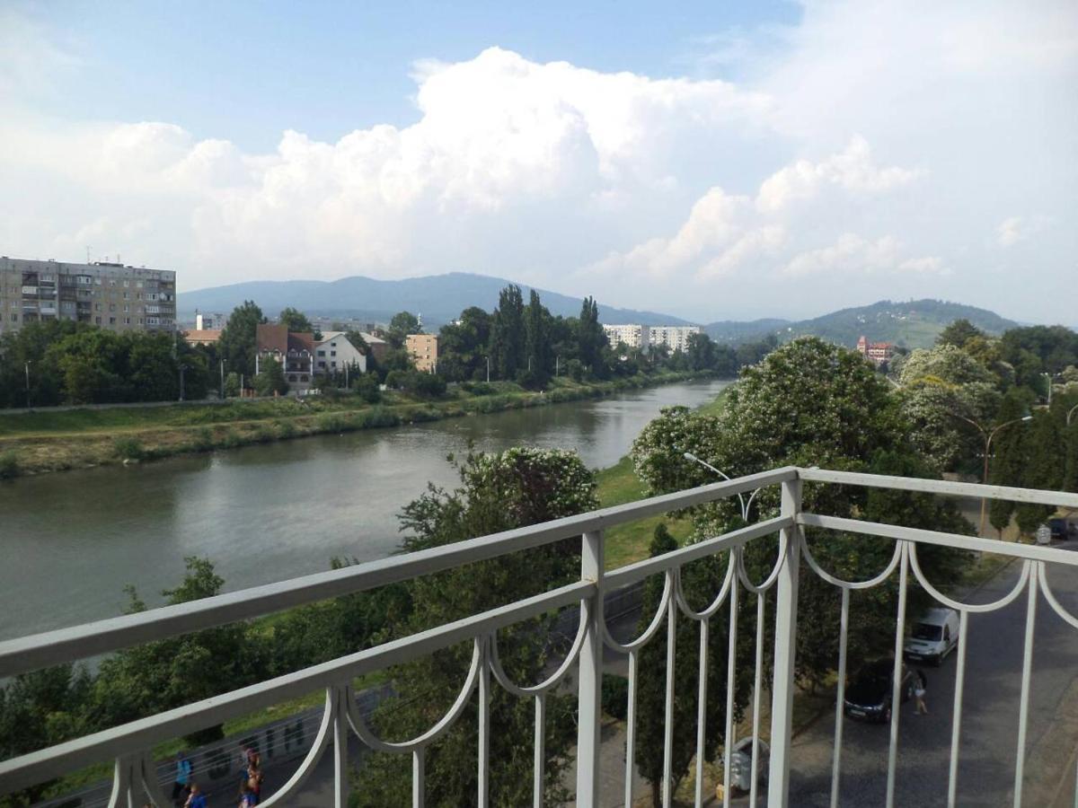 Apartments Domovik Просторная Квартира С Видом На Горы 무카체베 외부 사진