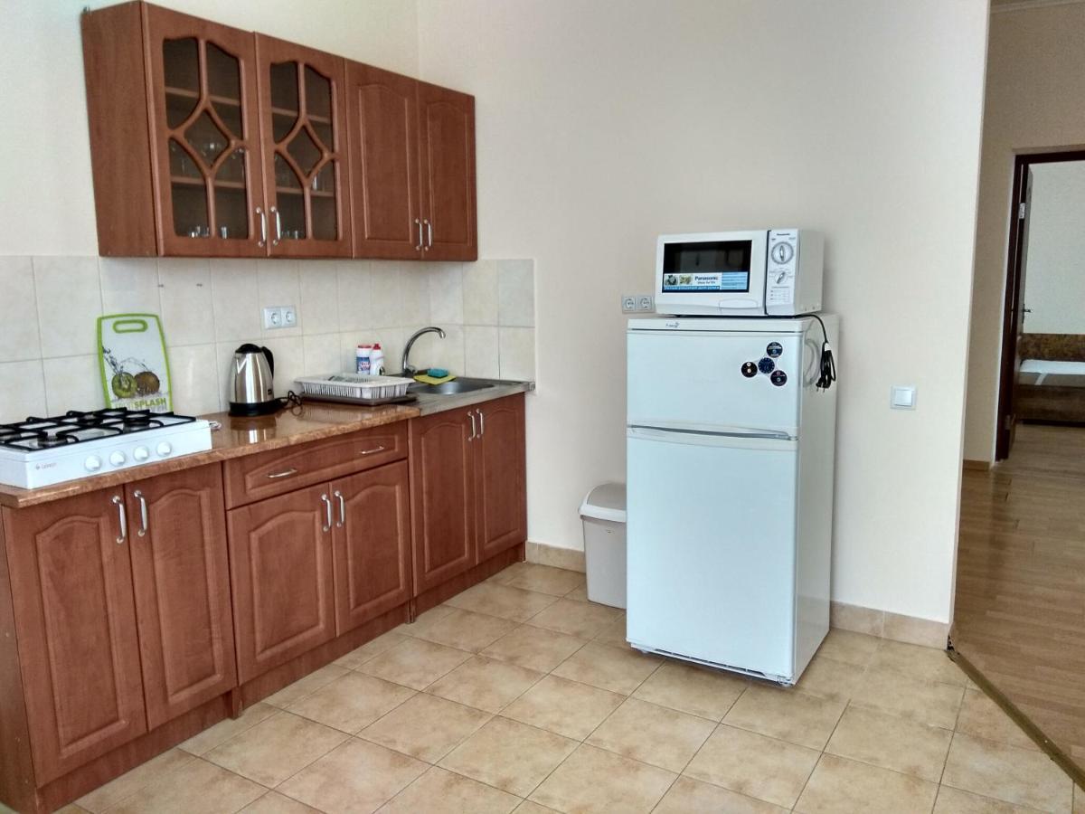 Apartments Domovik Просторная Квартира С Видом На Горы 무카체베 외부 사진