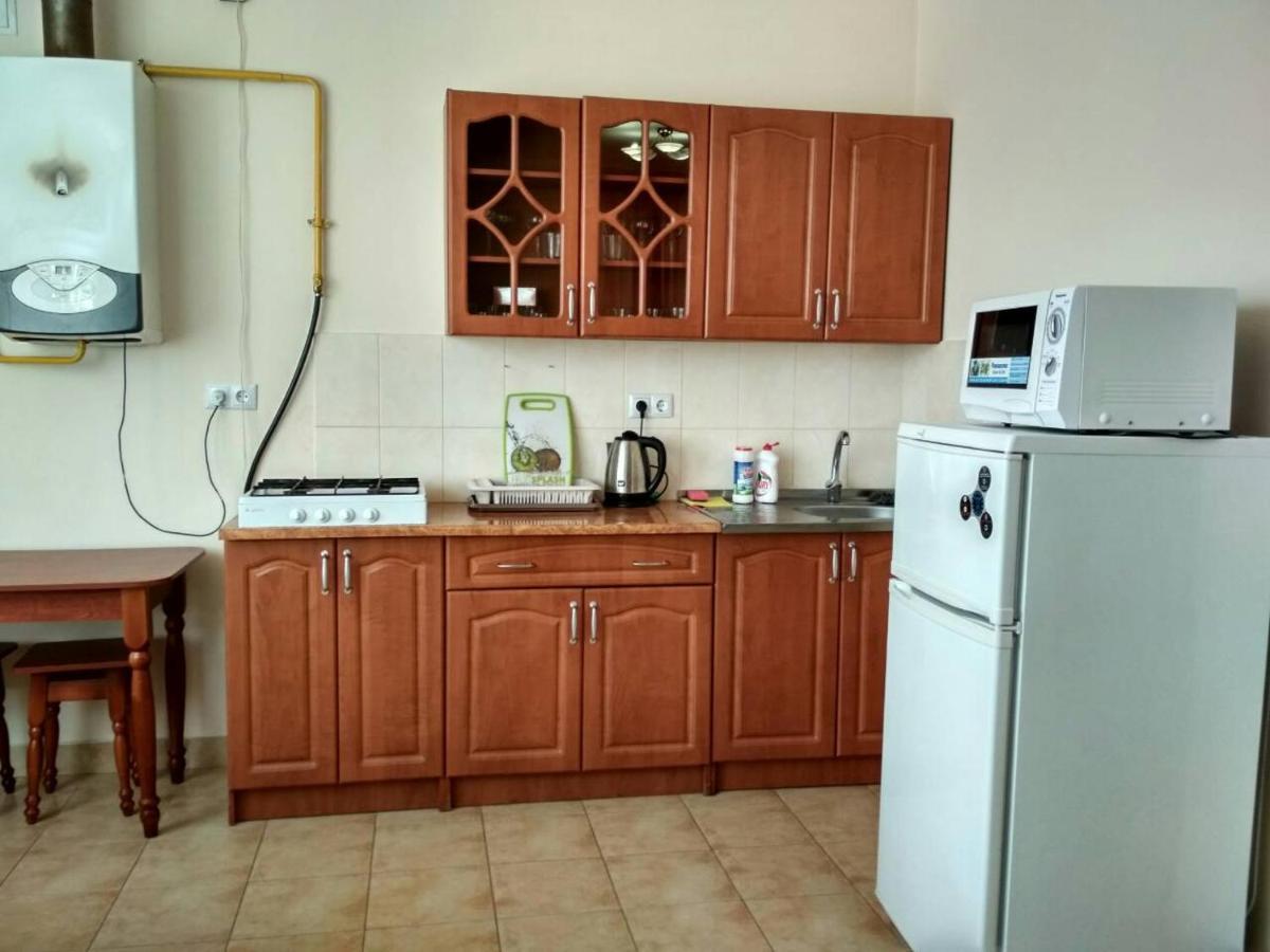 Apartments Domovik Просторная Квартира С Видом На Горы 무카체베 외부 사진